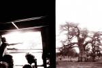 dans le train de Bamako à Dakar, un enfant, une femme et un baobab, Sénégal en 2002 © Photo Deborah Metsch